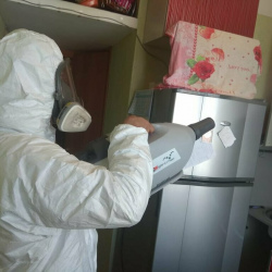 Уничтожение насекомых в квартире. Улица Академика Янгеля